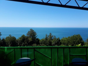 Гостиница Mini Hotel Bagripsta  Гантиади